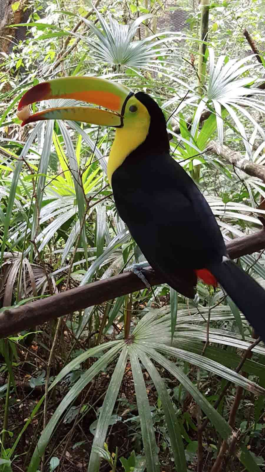 Belize