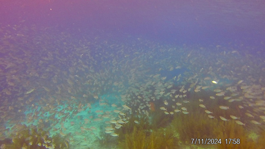Bonaire